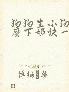 狗狗生小狗吃什么下奶快一点