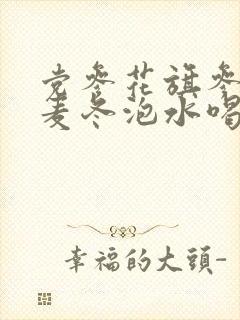 党参花旗参黄芪麦冬泡水喝的功效