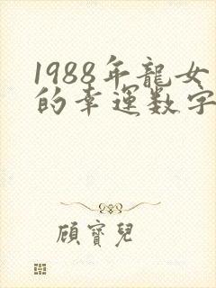 1988年龙女的幸运数字封面