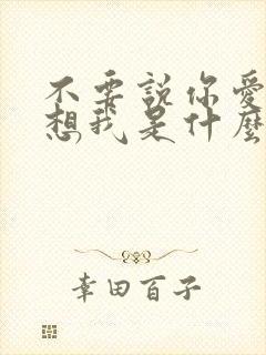 不要说你爱我你想我是什么歌