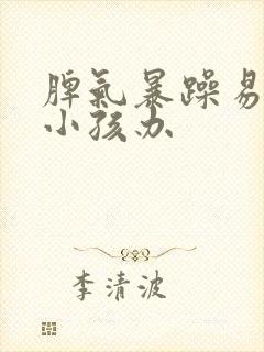 脾气暴躁易怒的小孩办