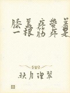膝盖疼带着大腿一根筋疼是什么病