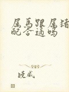 属马跟属猪的婚配合适吗
