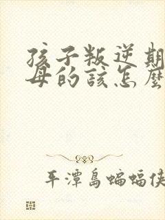 孩子叛逆期做父母的该怎么办