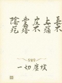 阴囊皮上长了小疙瘩不痛不痒