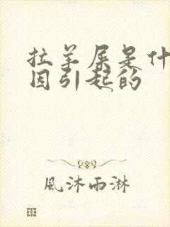 拉羊屎是什么原因引起的