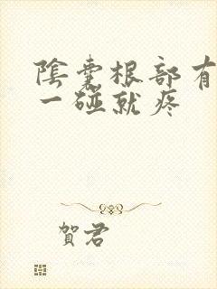阴囊根部有硬块一碰就疼封面