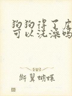 狗狗得了皮肤病可以洗澡吗