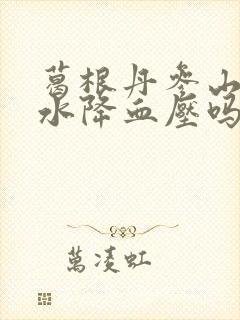 葛根丹参山楂泡水降血压吗