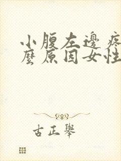 小腹左边疼痛什么原因女性