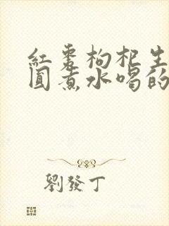 红枣枸杞生姜桂圆煮水喝的功效