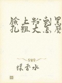 脸上粉刺黑头毛孔粗大怎么去除封面