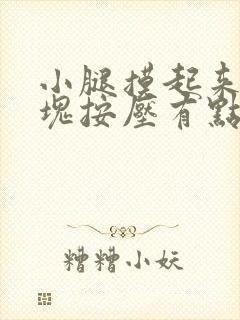 小腿摸起来有硬块按压有点痛封面