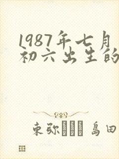 1987年七月初六出生的人命运
