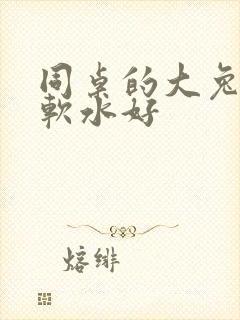 同桌的大兔子好软水好