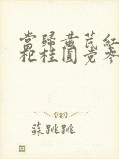 当归黄芪红枣枸杞桂圆党参泡水喝有什么功效
