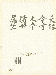 属猪人今天打牌坐哪个方位封面