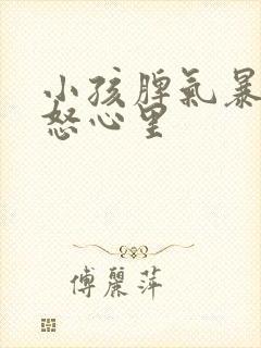 小孩脾气暴躁易怒心里