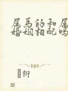 属马的和属兔的婚姻相配吗