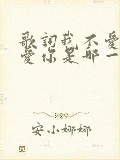歌词我不爱你谁爱你是哪一首歌封面