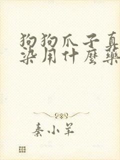 狗狗爪子真菌感染用什么药