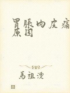 胃胀肉皮痛什么原因封面