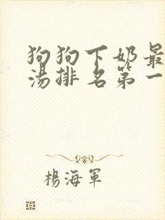 狗狗下奶最快的汤排名第一名
