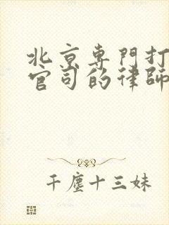北京专门打经济官司的律师封面