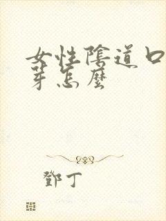 女性阴道口长肉芽怎么
