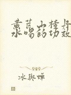 黄芪山楂丹参泡水喝的功效与作用