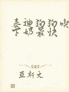 泰迪狗狗吃什么下奶最快