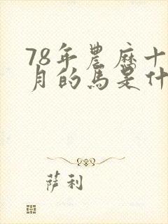 78年农历十二月的马是什么命