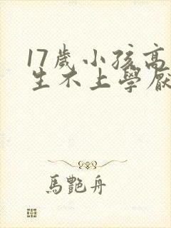 17岁小孩高中生不上学厌学怎么办封面