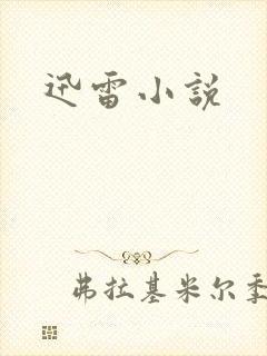 迅雷小说