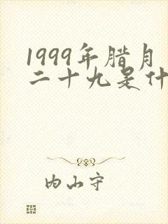1999年腊月二十九是什么命