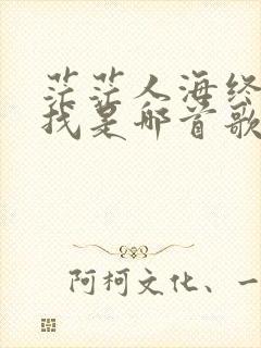 茫茫人海终生寻找是哪首歌的歌词