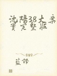 沈阳38大案纪实完整版
