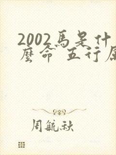 2002马是什么命 五行属什么