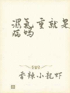 湿气重就是风湿病吗