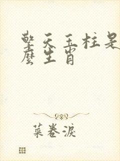 擎天玉柱是指什么生肖封面