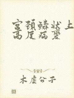 宫颈鳞状上皮 高度病变