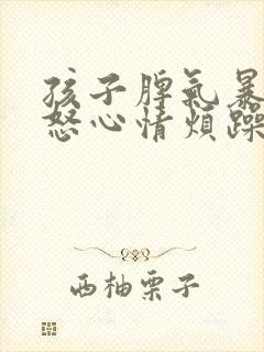 孩子脾气暴躁易怒心情烦躁封面