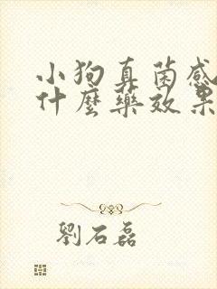 小狗真菌感染用什么药效果好