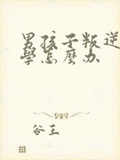 男孩子叛逆期厌学怎么办封面