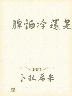 脾怕冷还是怕热