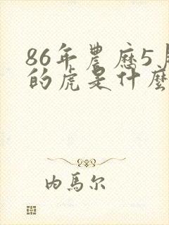 86年农历5月的虎是什么命运