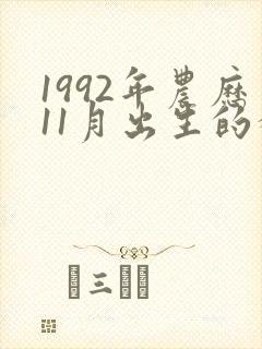 1992年农历11月出生的猴是什么命
