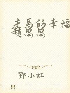 老马的幸福生活赵思思封面