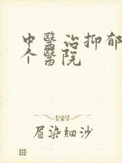 中医治抑郁去哪个医院