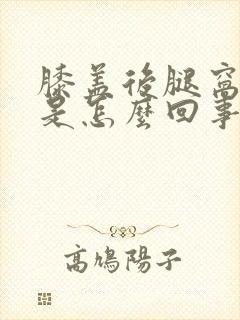 膝盖后腿窝筋疼是怎么回事